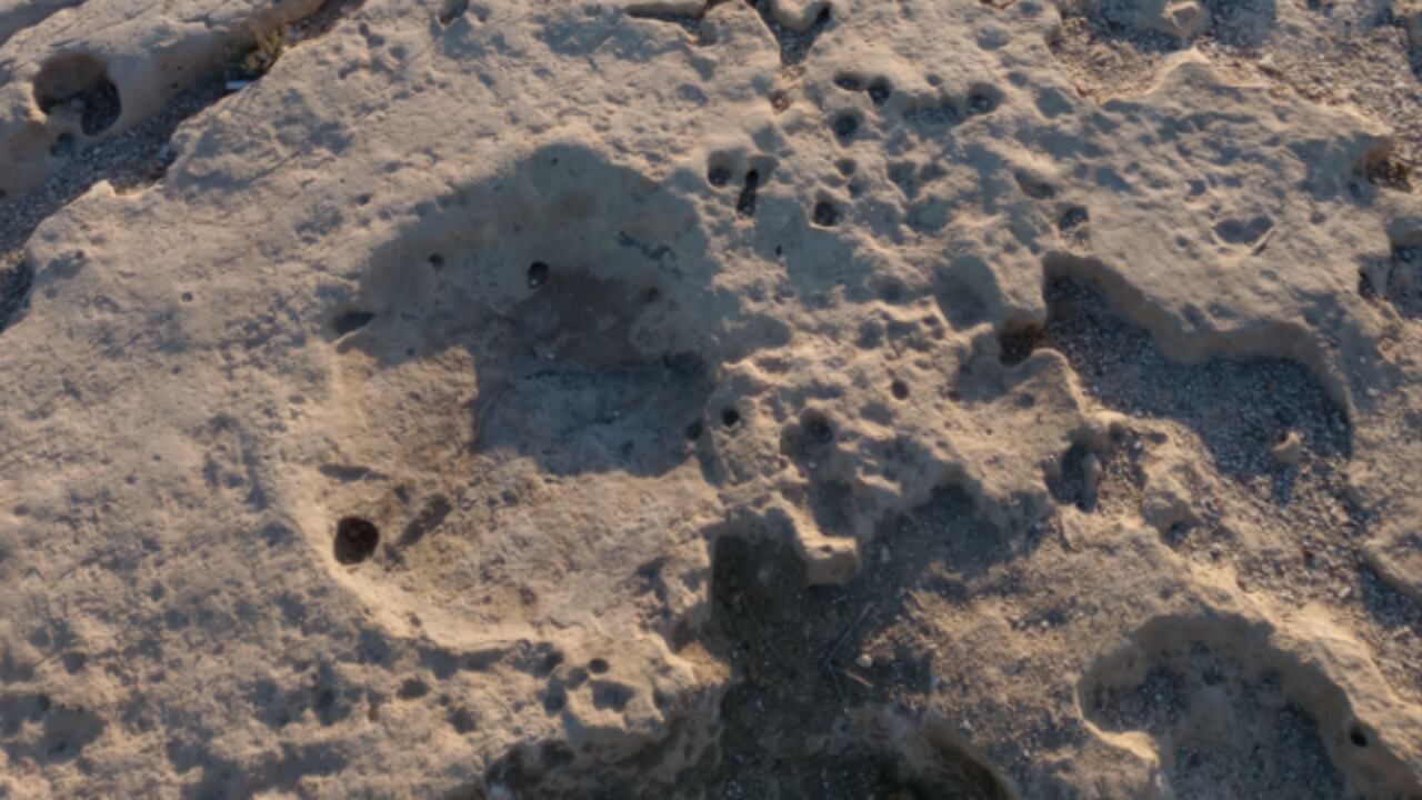 Un equipo de investigadores descubre las primeras huellas fósiles de elefantes prehistóricos en la costa de Murcia