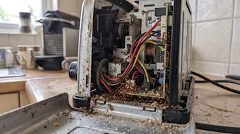 Vista del interior de una tostadora destapada que muestra componentes electrónicos y cables cubiertos por numerosas hormigas pequeñas.