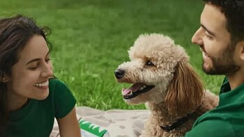 Los perros saben reconocer a