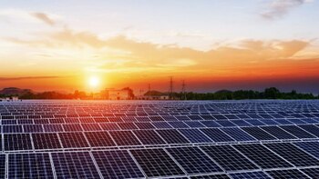 Empresa francesa anunció que suspende