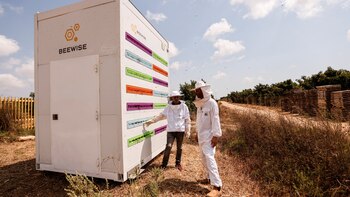 Misión salvar a las abejas: