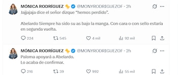 Sus declaraciones se viralizaron en minutos - crédito X