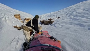 Un trineo cargado con 500