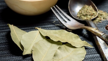 Orégano y laurel Portada