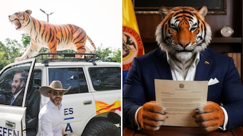 Los seguidores de Abelardo de la Espriella llevan la campaña a la piel con los símbolos que representa 'el Tigre' - crédito @delaespriella_style/Instagram
