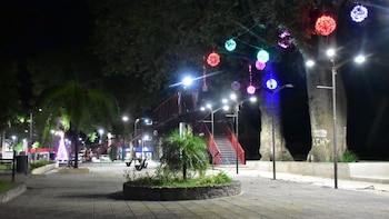 El peculiar hecho ocurrió en