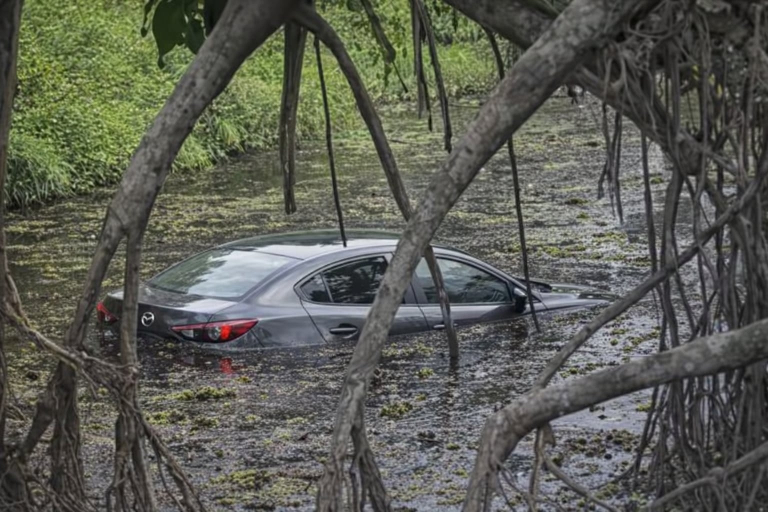 Carro cayó en un cuerpo de agua en Cartagena: las autoridades investigan la insólita situación