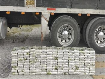 Fueron decomisados 300 kilogramos de