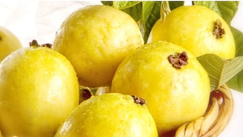 Las guayabas con una fruta