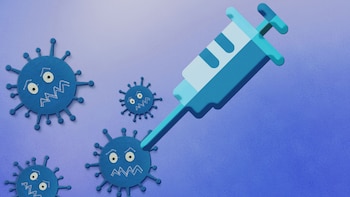 Cuáles son las 7 vacunas