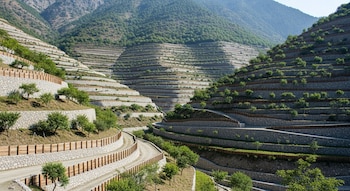 Vista aérea de una ladera montañosa aterrazada con extensos muros de contención de piedra y pequeñas parcelas de vegetación verde a lo largo de las curvas.