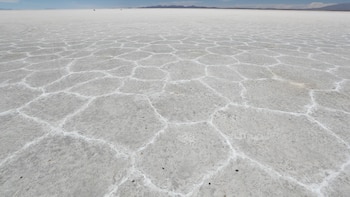 Estatal boliviana buscará socios en