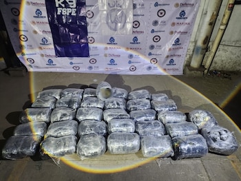 Aseguran más de 120 mil dosis de droga en Guanajuato