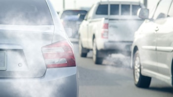 Contaminantes del tráfico e industriales relacionados con el riesgo crónico de rinosinusitis