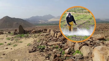 Emergencia ambiental en la costa norte del Perú: estudio expone grave abandono de ecosistemas clave en La Libertad