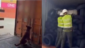 Policía incautó 500 kilos de