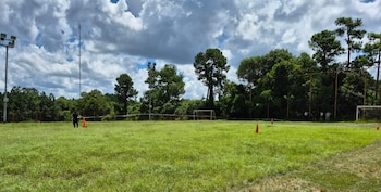 El hallazgo se produjo alrededor