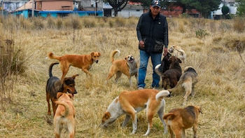 El tratamiento del síndrome del