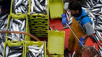 Bruselas comparte la preocupación de