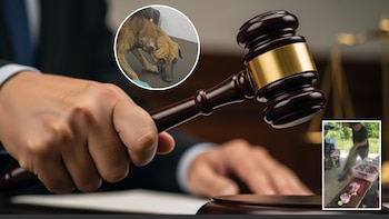 El caso se presentó a inicios de noviembre de 2025 en una finca mientras el agresor almorzaba - créditos Imagen Ilustrativa Infobae | Fiscalía General de la Nación | Red social X