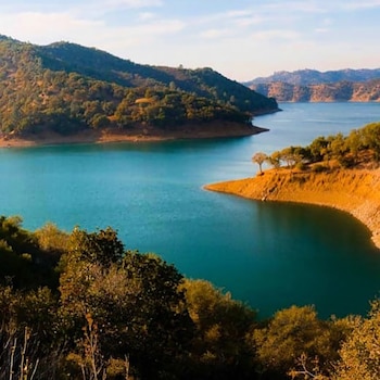 Avtar Singh fue encontrado sin