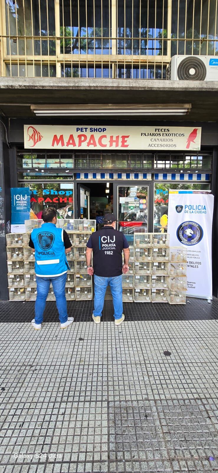 La UFEMA y la Policía de la Ciudad decomisan aves y mamíferos exóticos exhibidos ilegalmente en una vidriera porteña