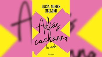 "Adiós cachorra". Novela y consejos.