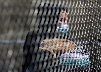 Autoridades se dieron cuenta que