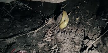 Los Farallones de Sutatausa en