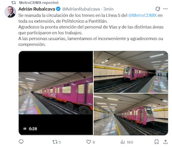 live metro mayo