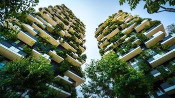 Cómo la sostenibilidad y las