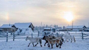 Oymyakon, el pueblo habitado más frío del mundo (ShutterStock).