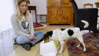 La mayoría de estos productos