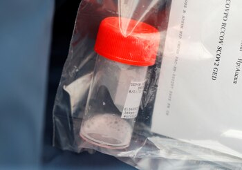 El surgimiento de nuevas variantes