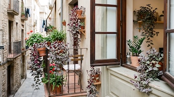 Balcón metálico con macetas de plantas colgantes de hojas moradas y verdes junto a una ventana de madera abierta con más plantas en el alféizar.