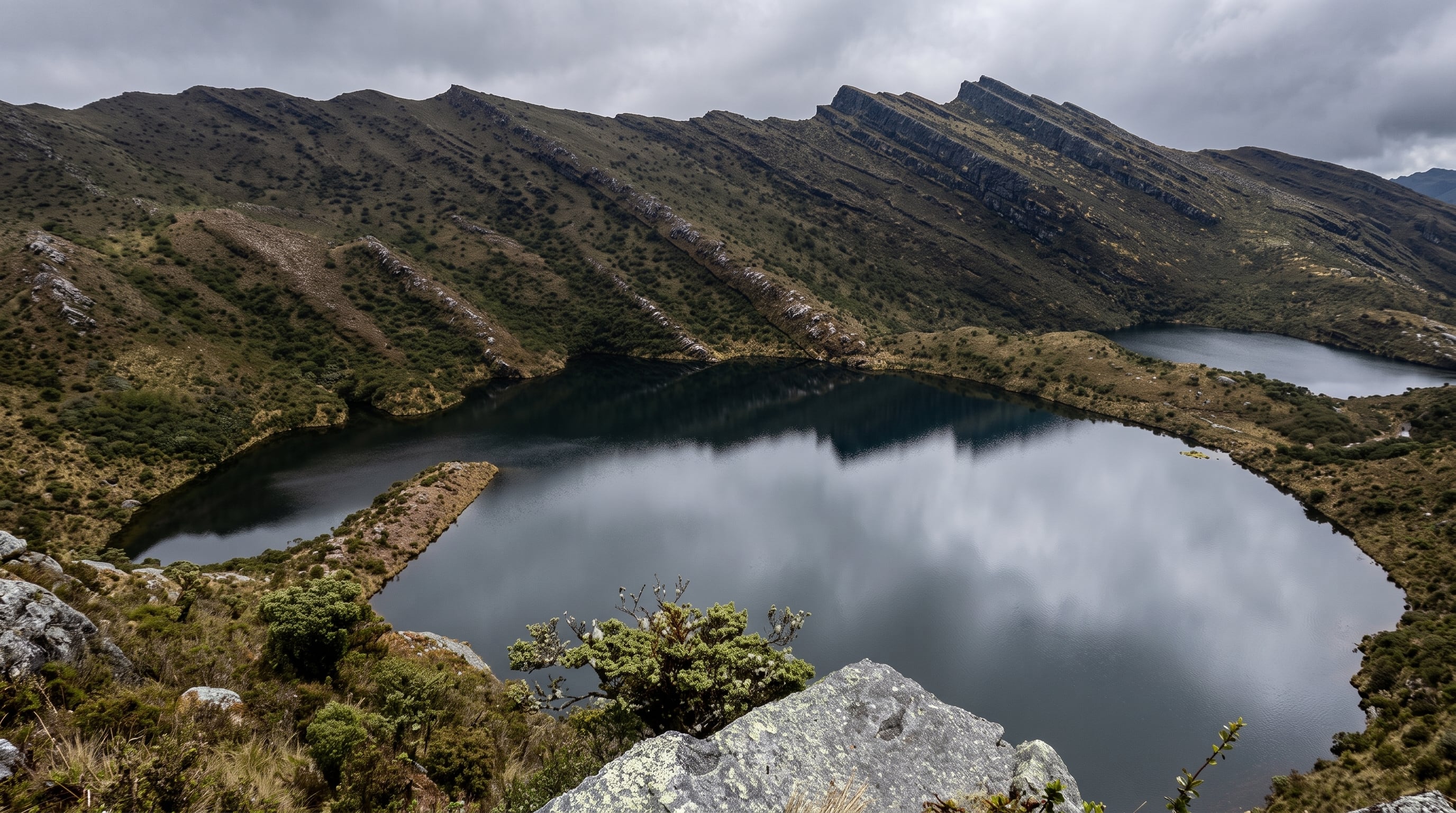 Gonzalo Linnus Martos intentó secar la laguna de Guasca para extraer metales, lo que convirtió el sitio en el actual Pantano de Martos - crédito Google Maps