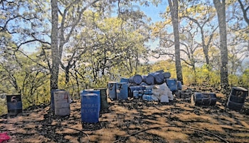 Registro de los tambos localizados