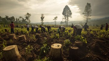 Innovación alimentaria y solidaridad: cómo
