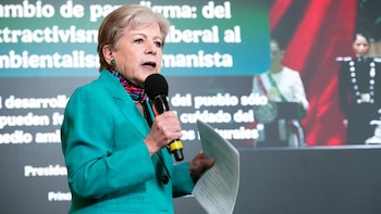 Alicia Bárcena califica de novedosa nueva ley de Bienestar Animal: reconoce a animales como seres sintientes