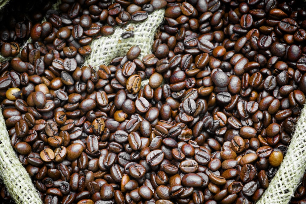 Del grano verde a la taza: el café argentino busca conquistar mercados internacionales