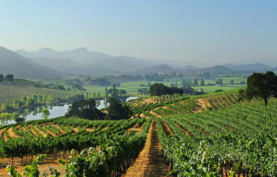 El medio maratón Napa to Sonoma convoca a 3.000 corredores para recorrer 21 kilómetros en el corazón vinícola de California