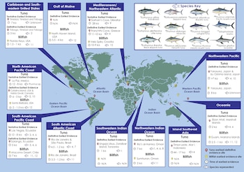 Mapa mundi con recuadros informativos, marcadores de ubicación, ilustraciones de doce especies de peces y una clave de identificación taxonómica