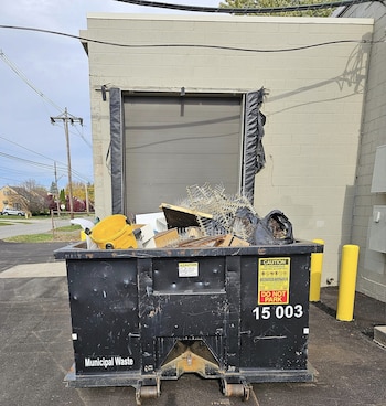 Los gatos que escaparon de la muerte: cómo fueron encontrados en una caja de cartón en la basura (Facebook Noelle's Foster Kittens)