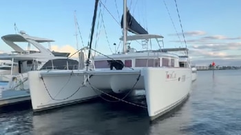 El oso negro que se robó el show en Florida: así fue su visita a un yate de lujo (Captura de pantalla/Tow Boat U.S. Naples and Marco Island)