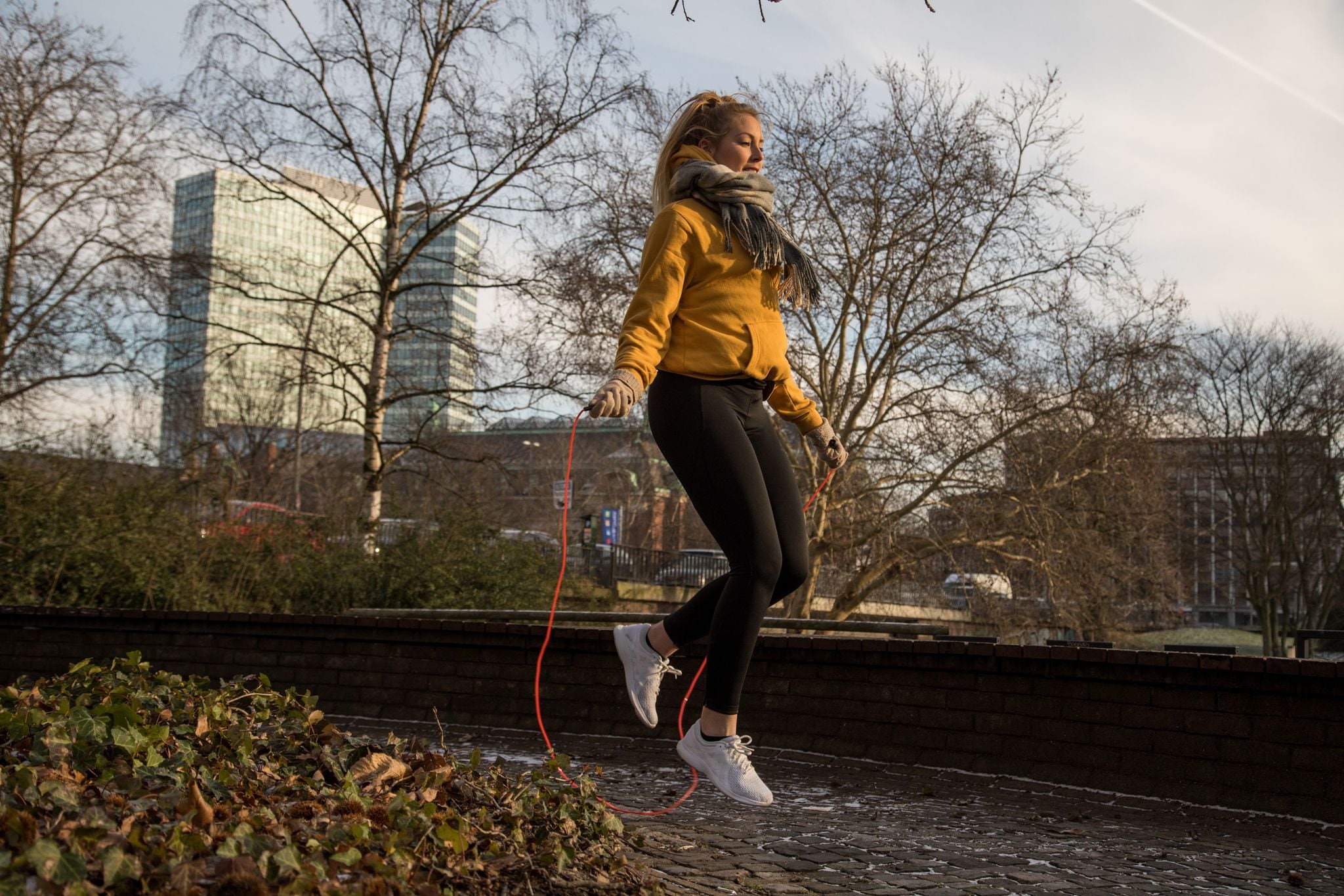 La administración de factor plaquetario 4 recombinante restauró funciones juveniles en células madre envejecidas de ratones mayores
( Christin Klose/dpa)