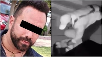 Detienen al exesposo de Paula Fajardo, la mujer que exhibió en video las golpizas que sufrió en Morelos