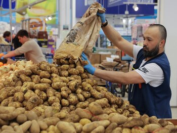 Un trabajador descarga patatas para
