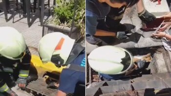 Equipos de rescate liberan a