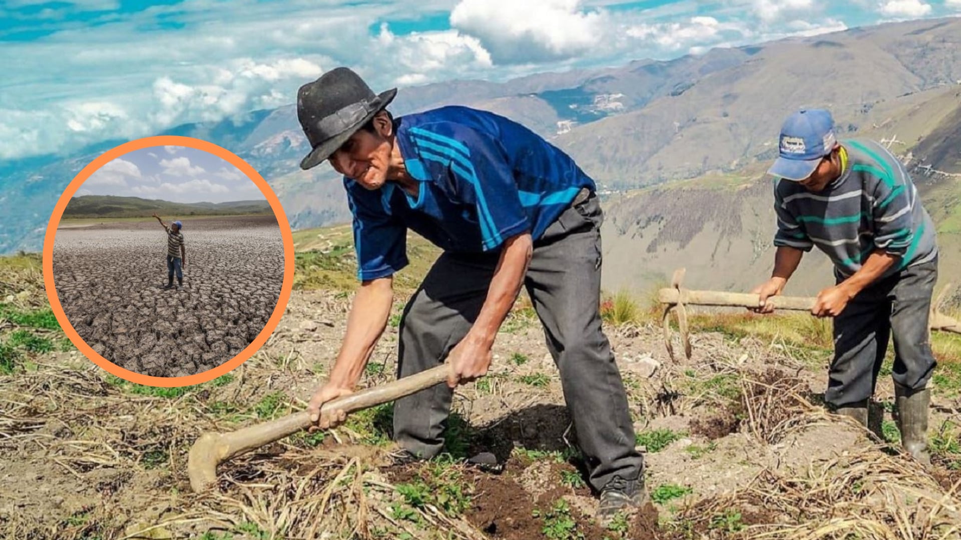 La sequía por el fenómeno de El Niño afectó fuertemente a diversas actividades económicas, siendo la agropecuaria una de las más afectadas. | Andina