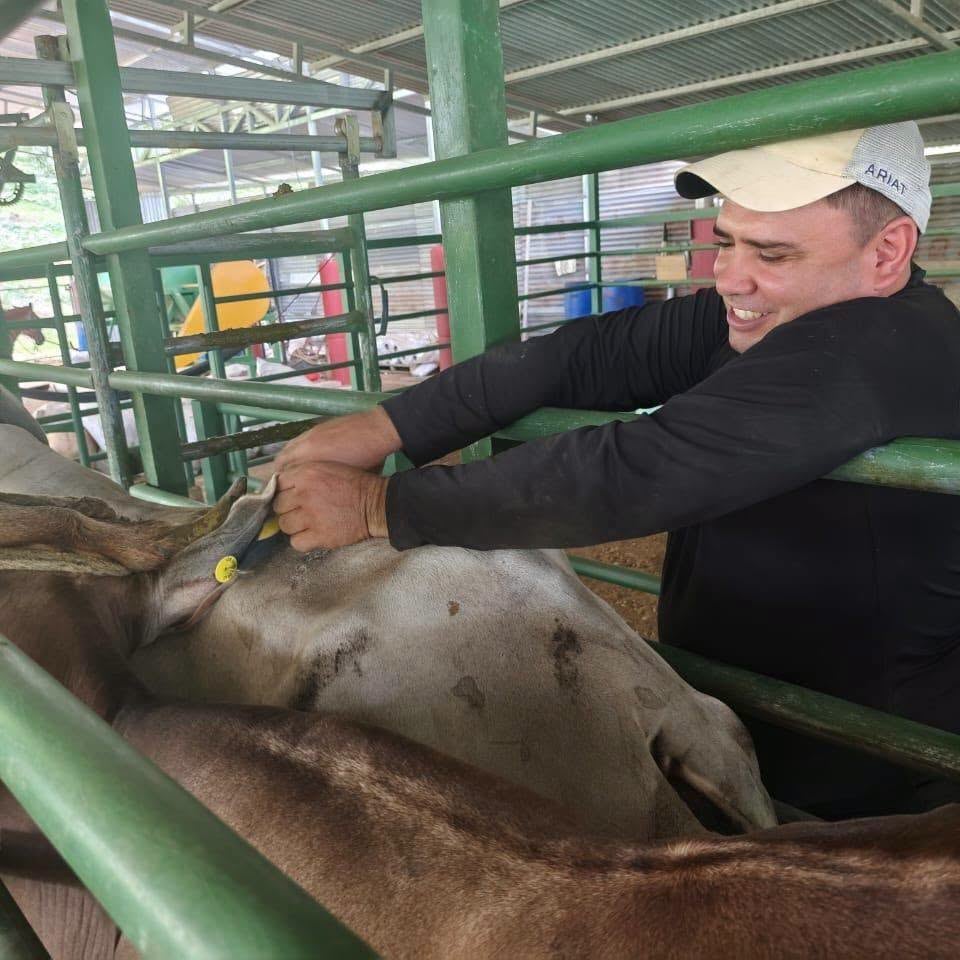 (Foto cortesía Ministerio de Agricultura y Ganadería)